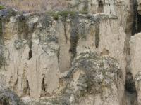 Albums/20060200-New Zealand 2006/20060316-Twiz/10